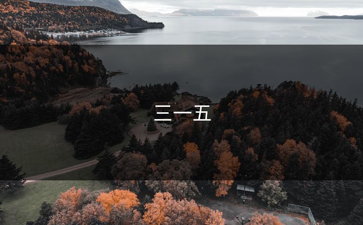 三一五