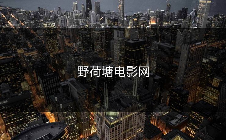 野荷塘电影网