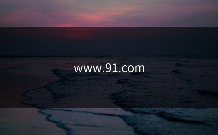 www.91.com