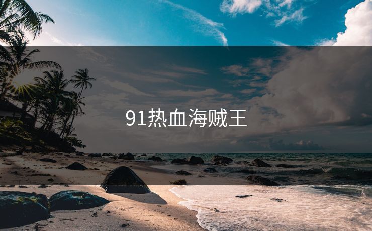 91热血海贼王