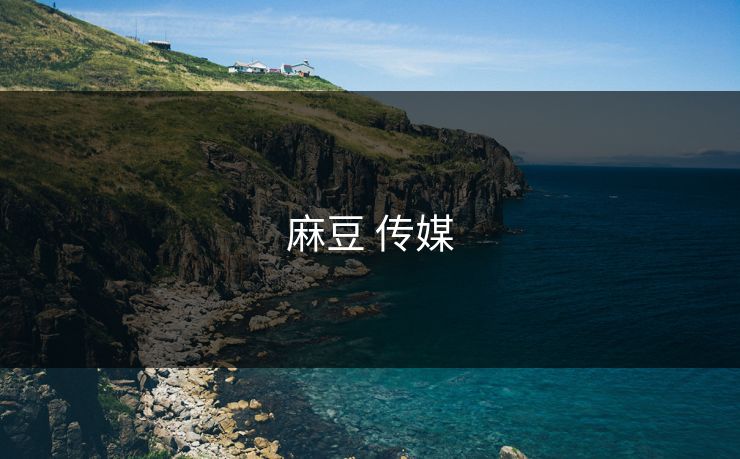麻豆 传媒