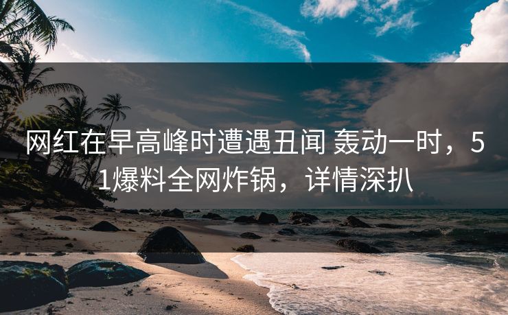 网红在早高峰时遭遇丑闻 轰动一时，51爆料全网炸锅，详情深扒
