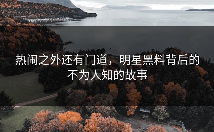 热闹之外还有门道，明星黑料背后的不为人知的故事